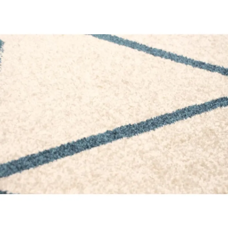 Indoor Rug - 8 x 10