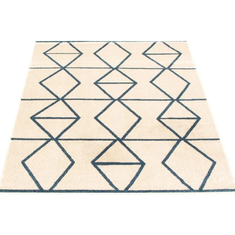 Indoor Rug - 8 x 10
