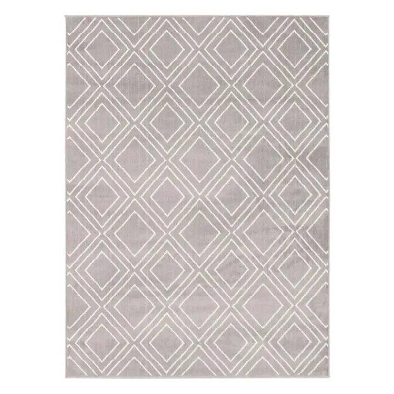 Indoor Rug - 8 x 10