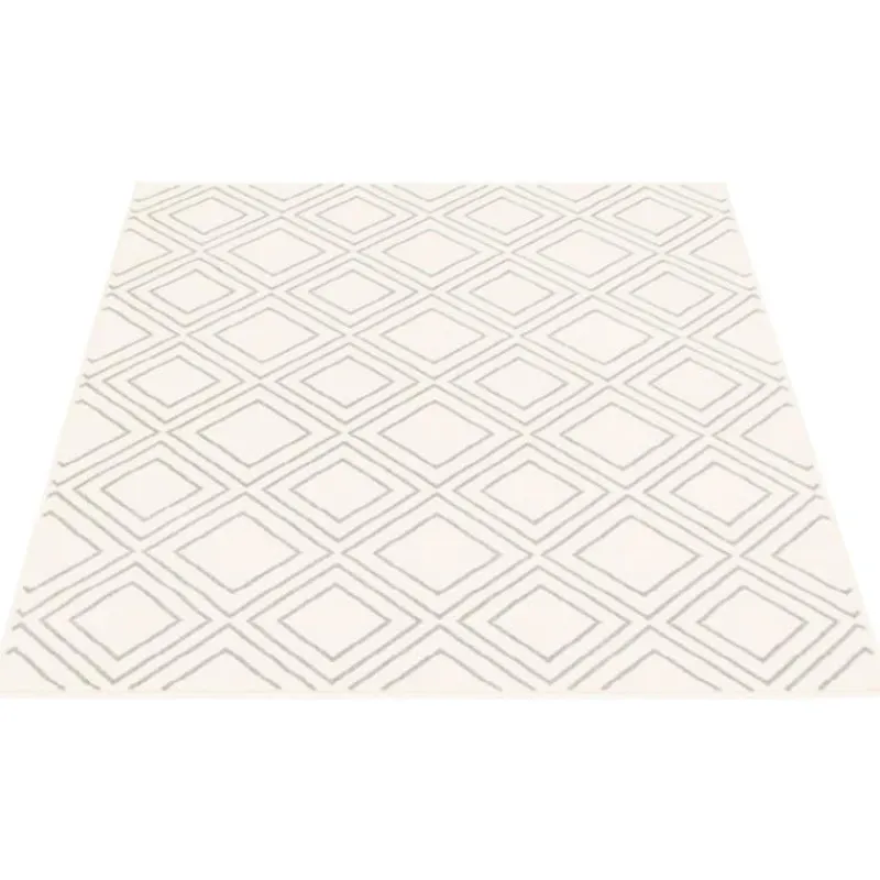 Indoor Rug - 8 x 10