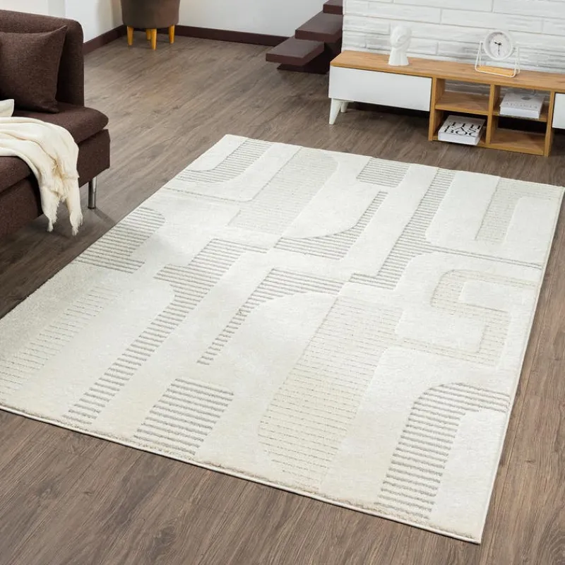 Indoor Rug - 5 x 8