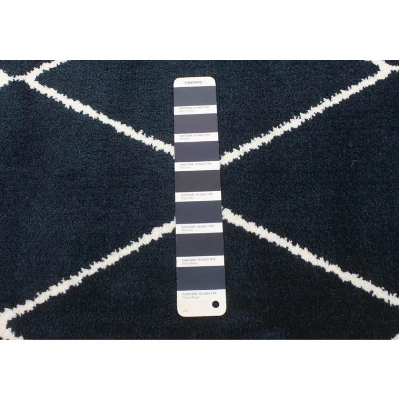 Indoor Rug - 8 x 10