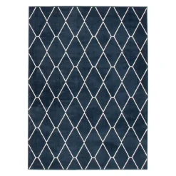 Indoor Rug - 8 x 10
