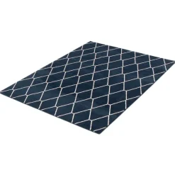 Indoor Rug - 8 x 10
