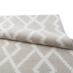 Indoor Rug - 6 x 9