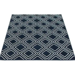 Indoor Rug - 5 x 7