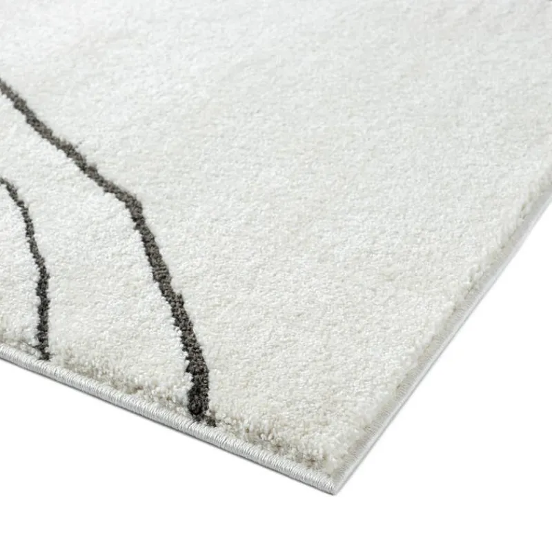 Indoor Rug - 8 x 11