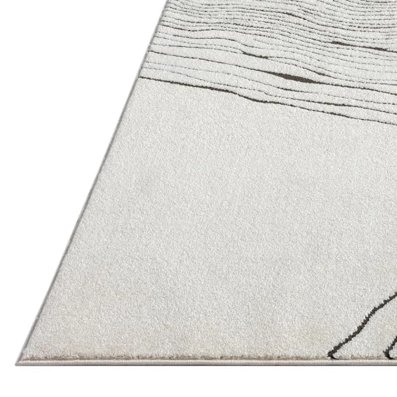 Indoor Rug - 8 x 11