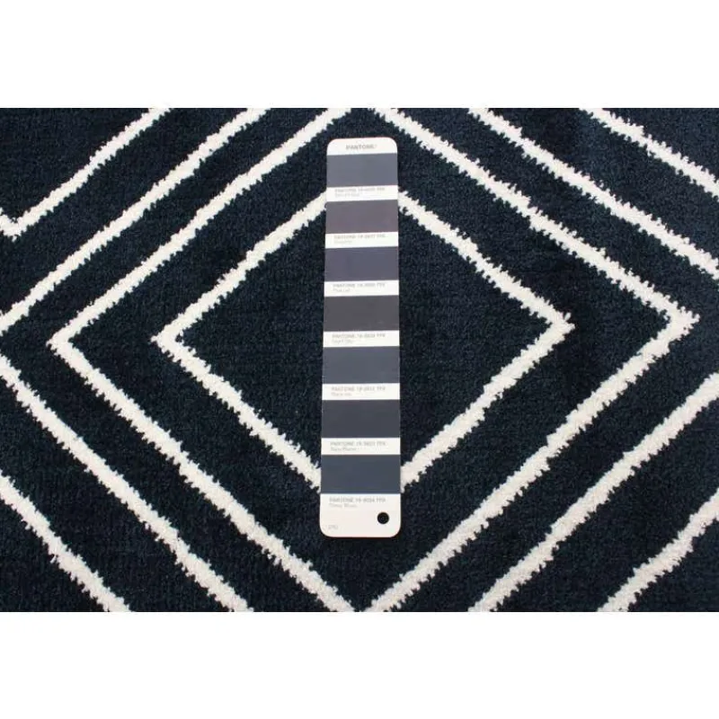 Indoor Rug - 8 x 10