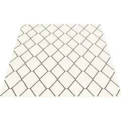 Indoor Rug - 8 x 10
