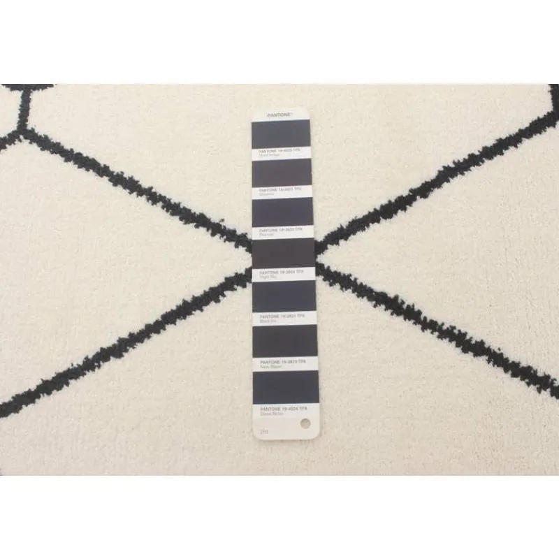 Indoor Rug - 8 x 10