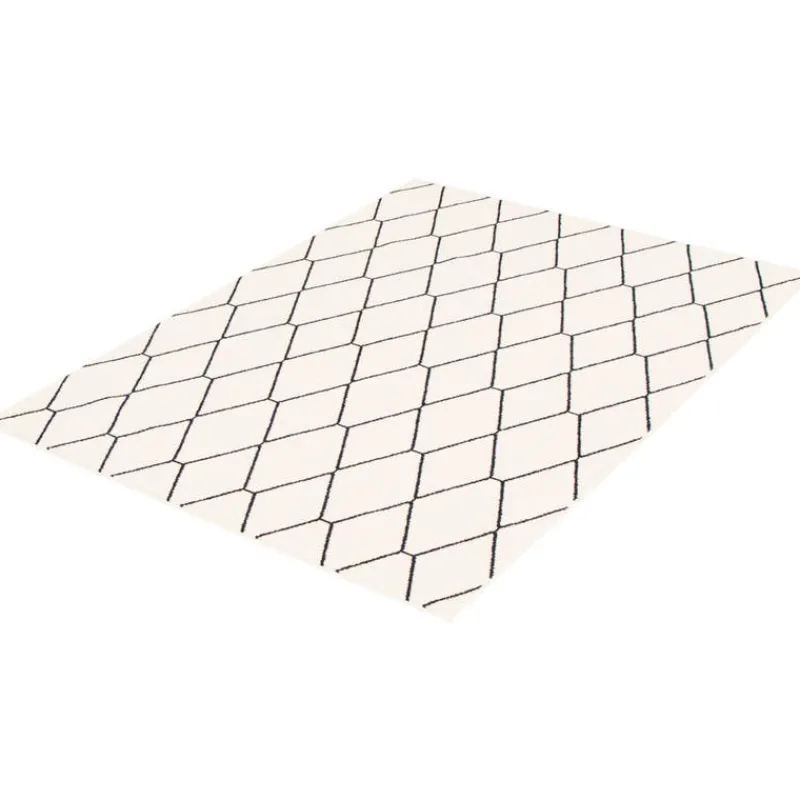Indoor Rug - 8 x 10