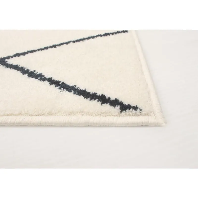 Indoor Rug - 8 x 10