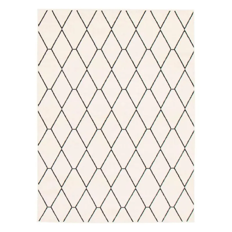 Indoor Rug - 8 x 10