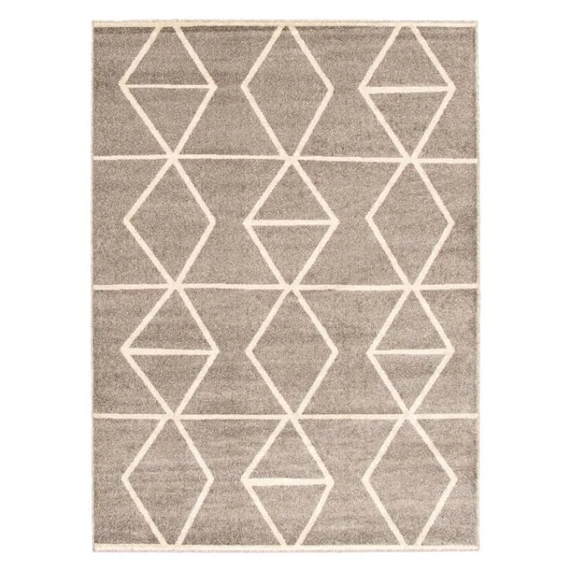 Indoor Rug - 8 x 10