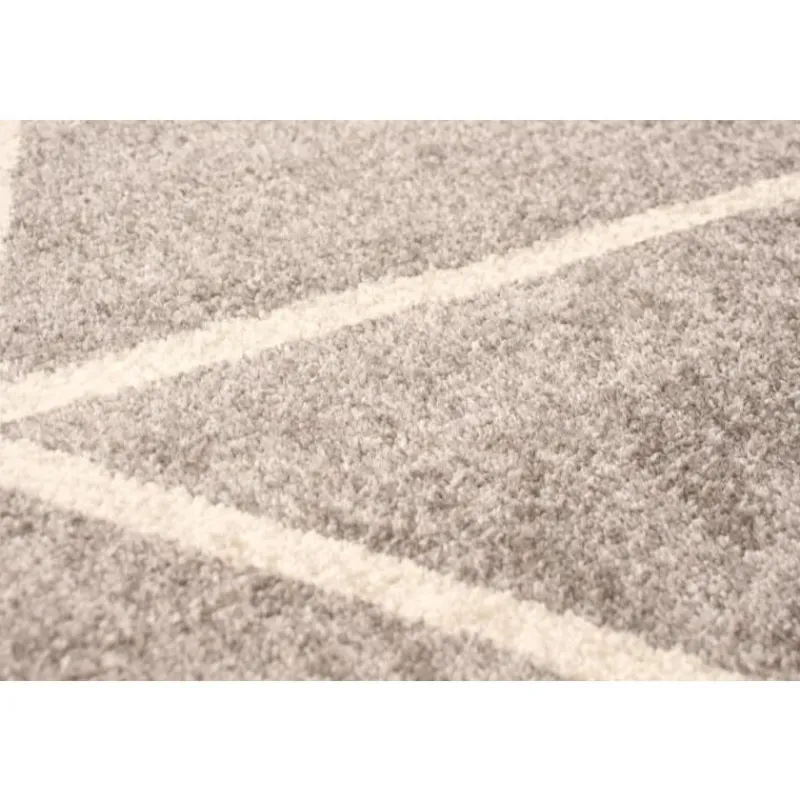 Indoor Rug - 8 x 10