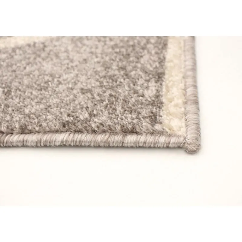 Indoor Rug - 8 x 10