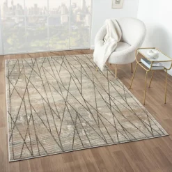 Indoor Rug - 5 x 8