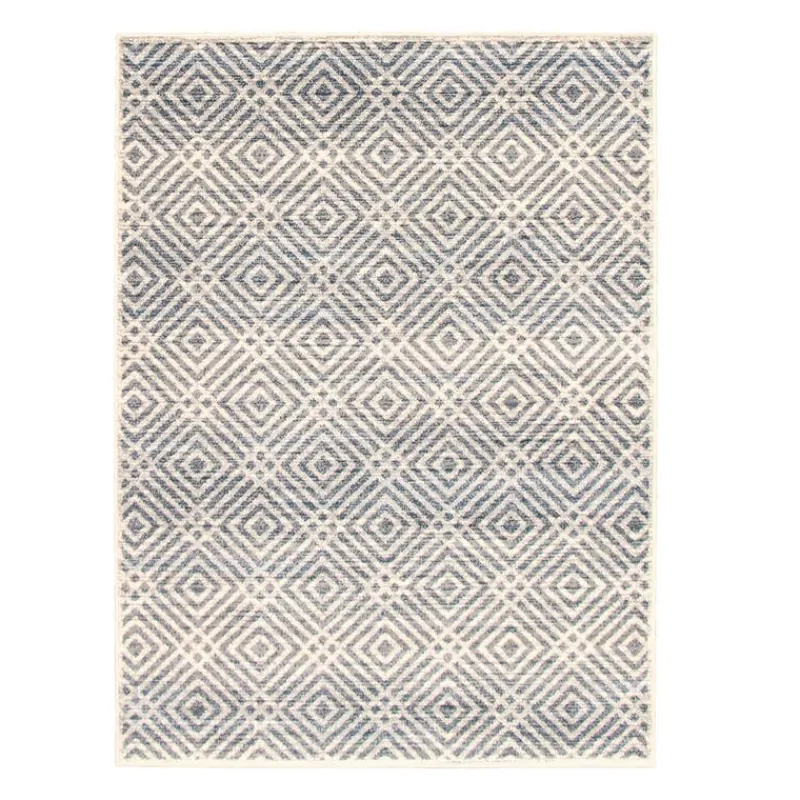 Indoor Rug - 4 x 6