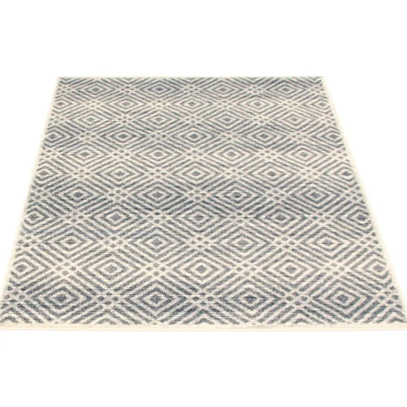 Indoor Rug - 4 x 6