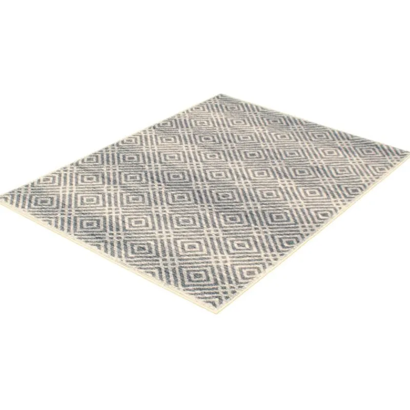 Indoor Rug - 4 x 6