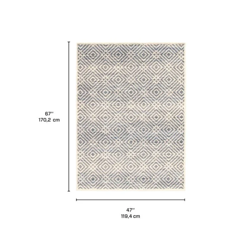 Indoor Rug - 4 x 6