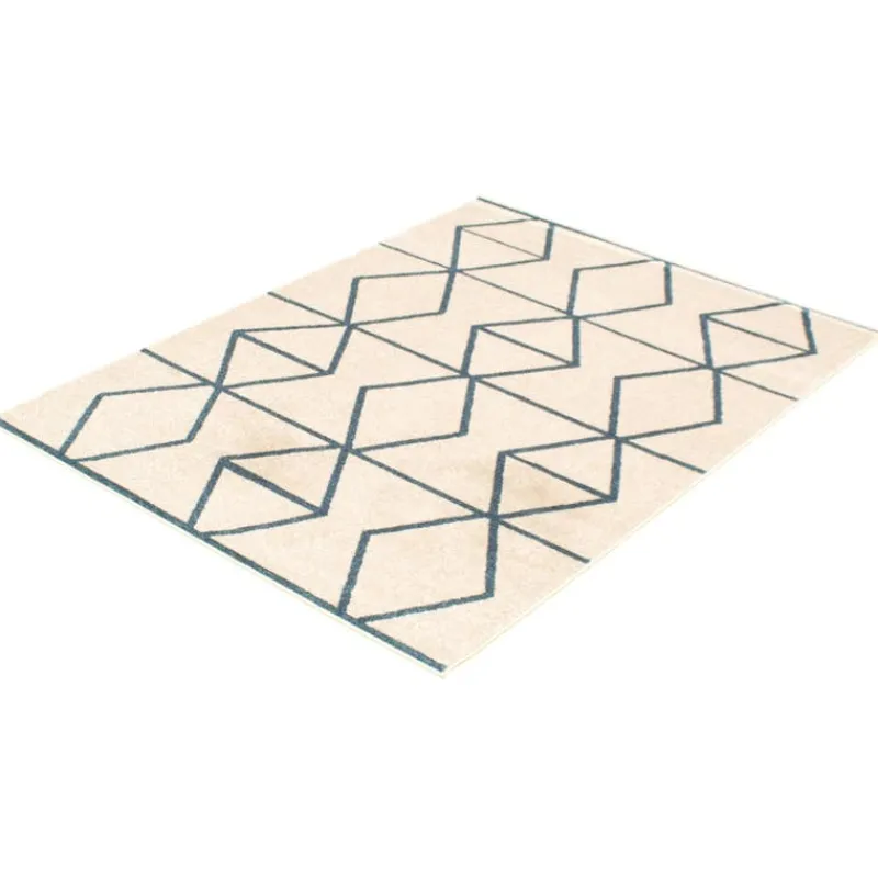 Indoor Rug - 4 x 6