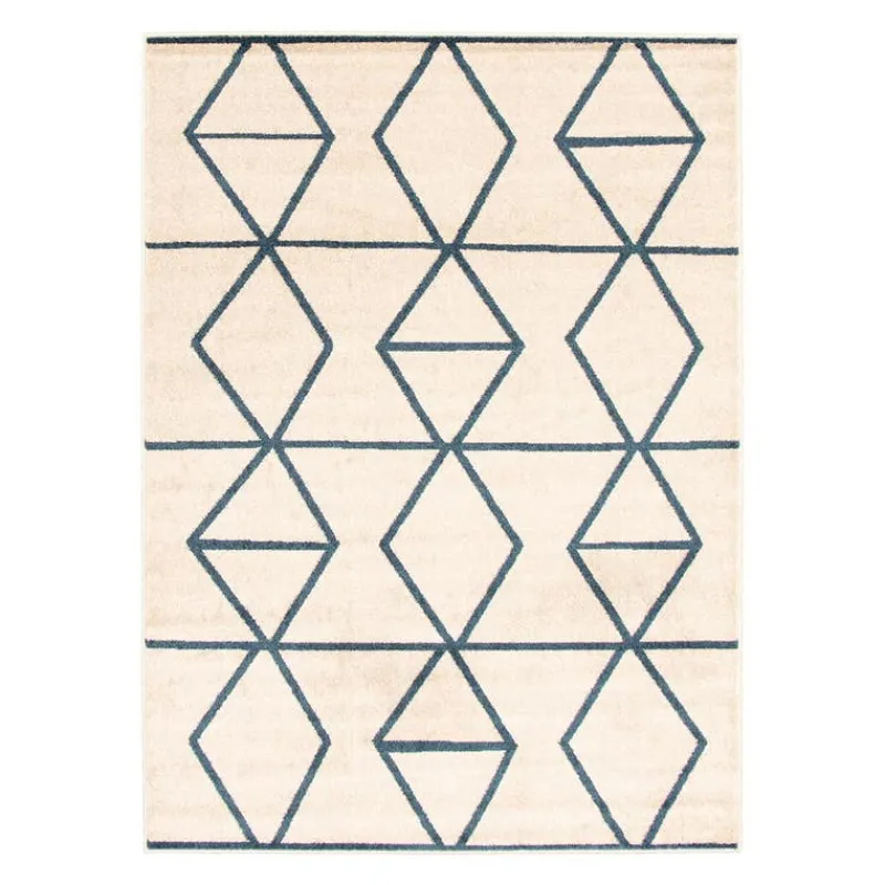 Indoor Rug - 4 x 6