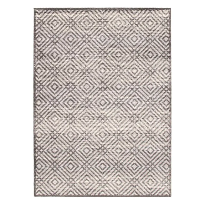 Indoor Rug - 8 x 10