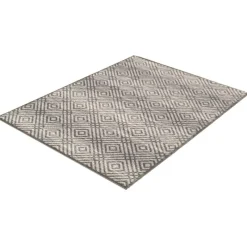 Indoor Rug - 8 x 10