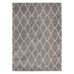 Indoor Rug - 7 x 10