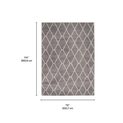 Indoor Rug - 7 x 10