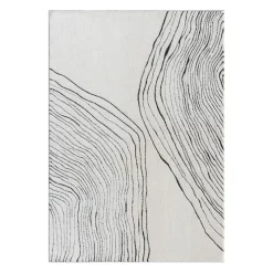 Indoor Rug - 5 x 8