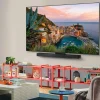 LG 48in Smart TV OLED UHD 4K - OLED48C5PUA