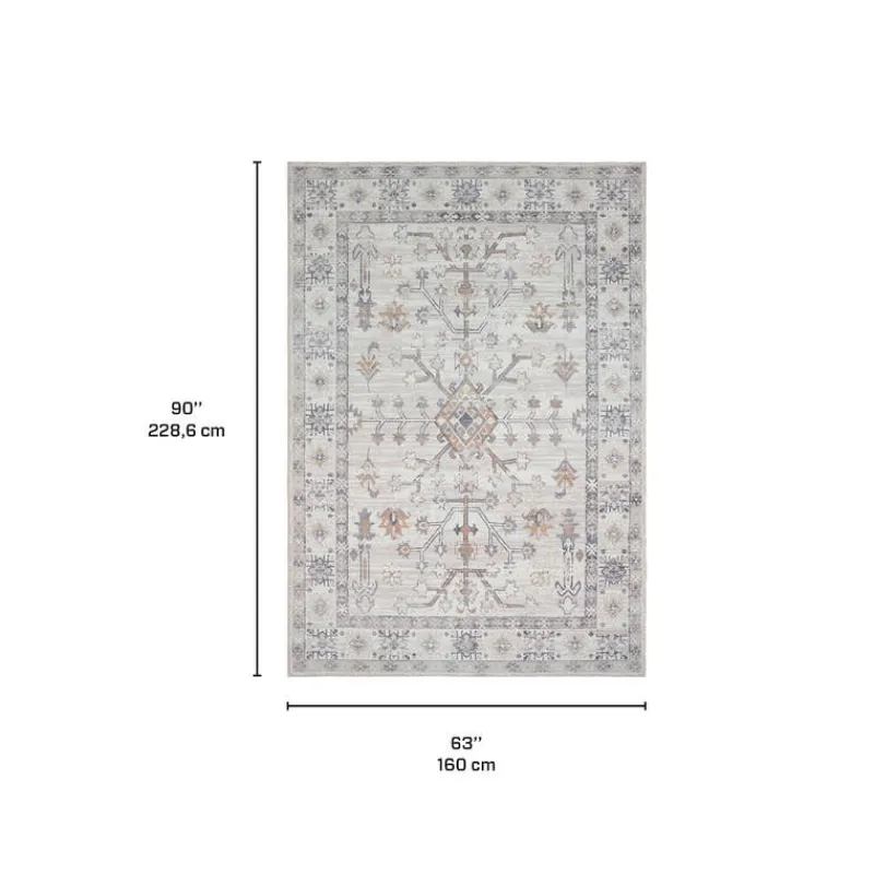 Machine Washable Indoor Rug - 5 x 7