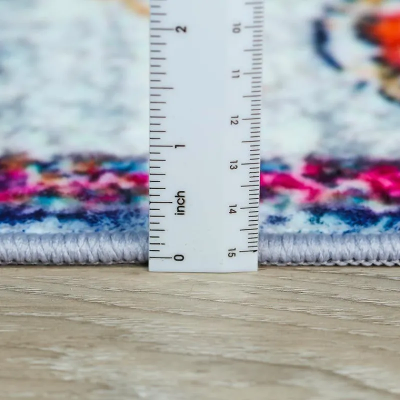 Machine Washable Indoor Rug - 5 x 7