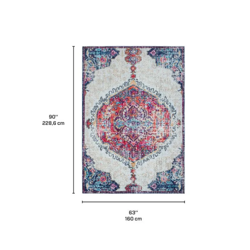 Machine Washable Indoor Rug - 5 x 7