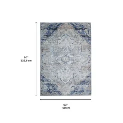 Machine Washable Indoor Rug - 5 x 7