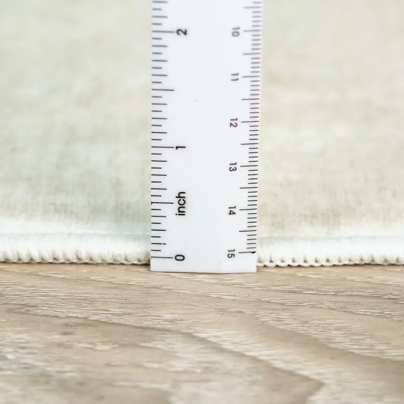 Machine Washable Indoor Rug - 5 x 7