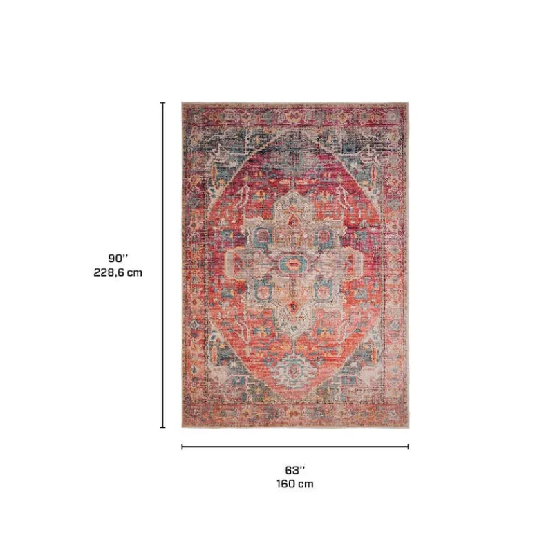 Machine Washable Indoor Rug - 5 x 7