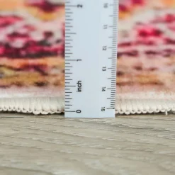 Machine Washable Indoor Rug - 5 x 7