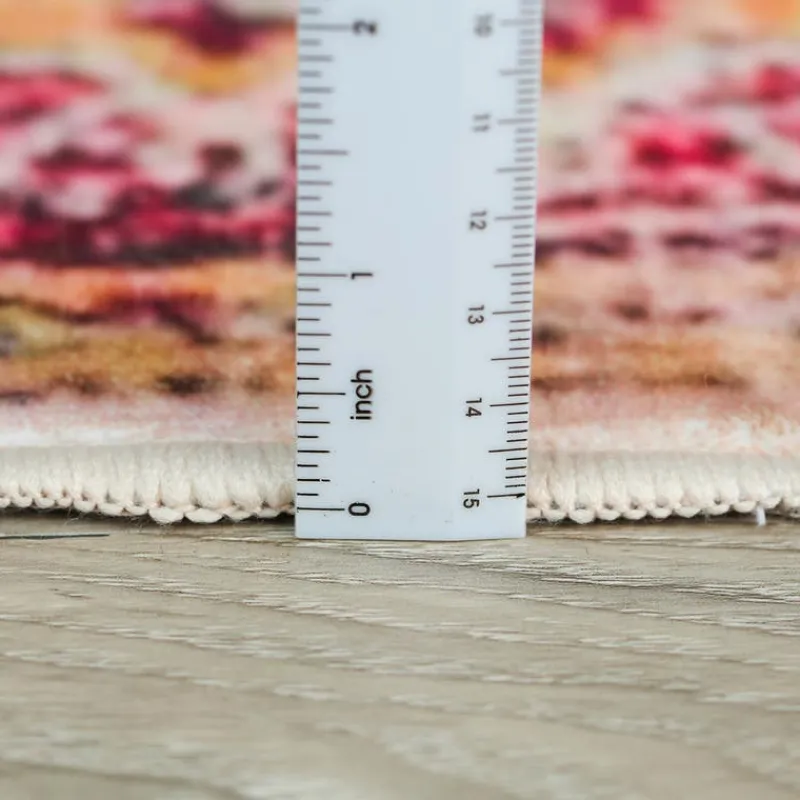 Machine Washable Indoor Rug - 5 x 7