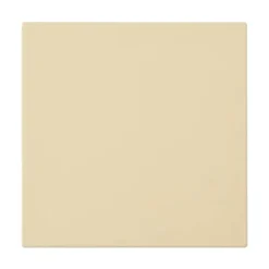 Frigidaire Gallery Pizza Stone