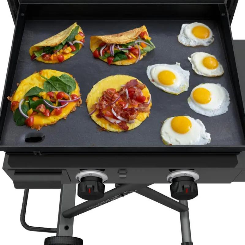 CHARBROIL Portable Propane Gas Griddle with 2 Burners - 24 000 BTU