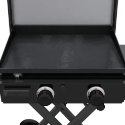 CHARBROIL Portable Propane Gas Griddle with 2 Burners - 24 000 BTU