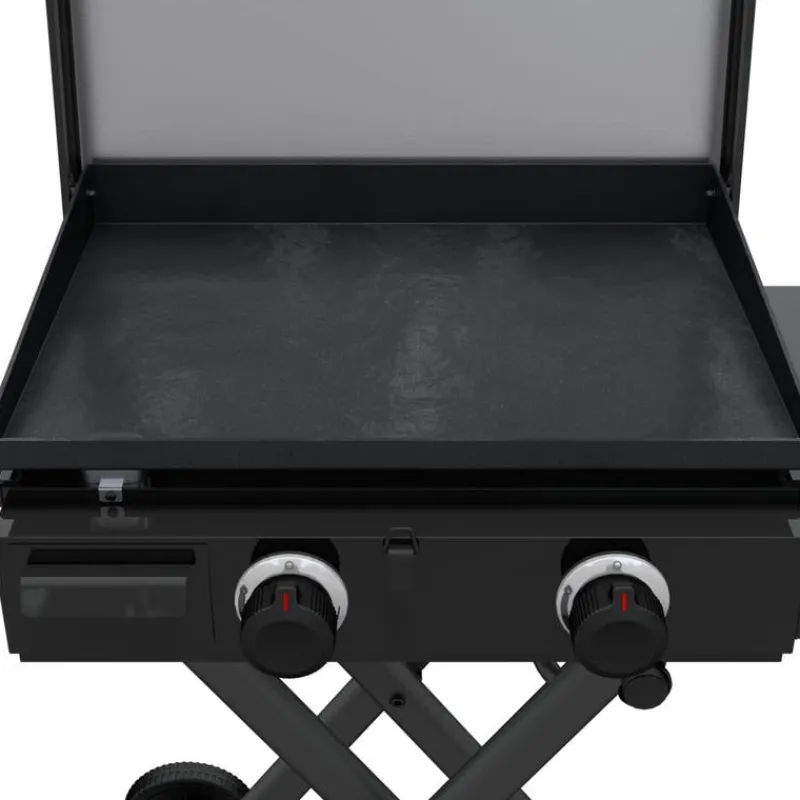 CHARBROIL Portable Propane Gas Griddle with 2 Burners - 24 000 BTU