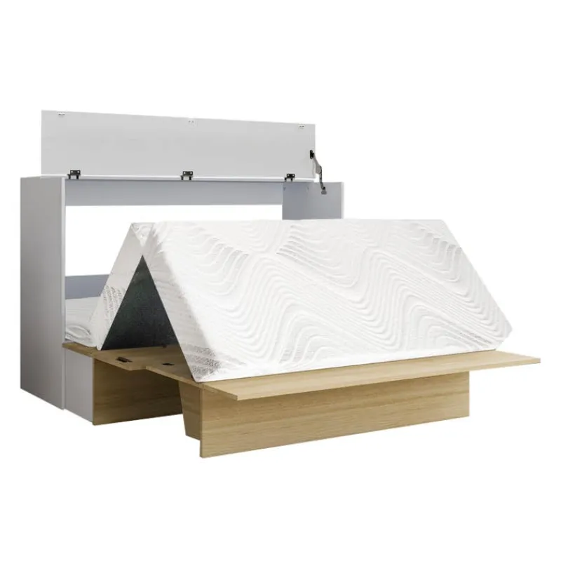 Queen Cabinet Bed with 6.5-inch Mattress -