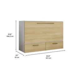 Queen Cabinet Bed with 6.5-inch Mattress -