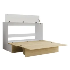 Queen Cabinet Bed with 6.5-inch Mattress -