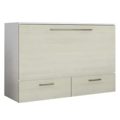 Queen Cabinet Bed with 6.5-inch Mattress -